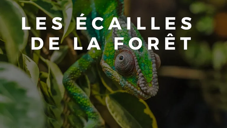 Damien Lecouvey herpétologue français lauréat de la société des explorateurs francais Amazonie